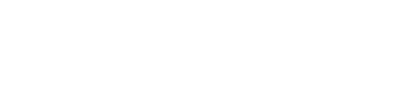 Wellness Partner 10