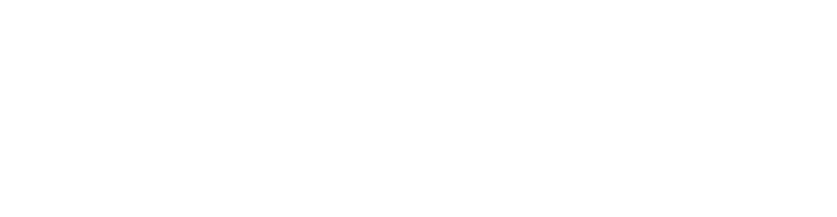 Wellness Partner 9